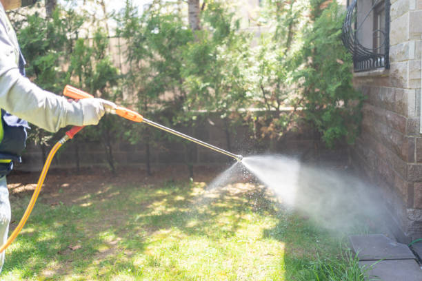 Best Residential Pest Control  in Castle Rock, WA